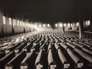 Some of the bodies ready to be buried