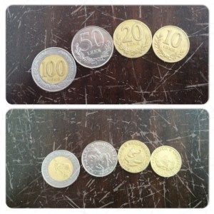 Albanian Currency