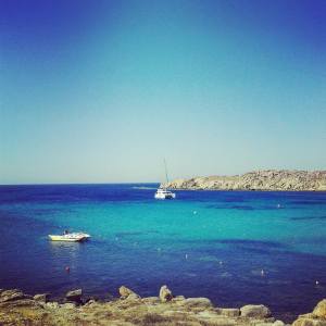 11702873_10103373412835465_2060600984076308364_n