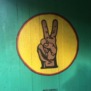 IMG_6581
